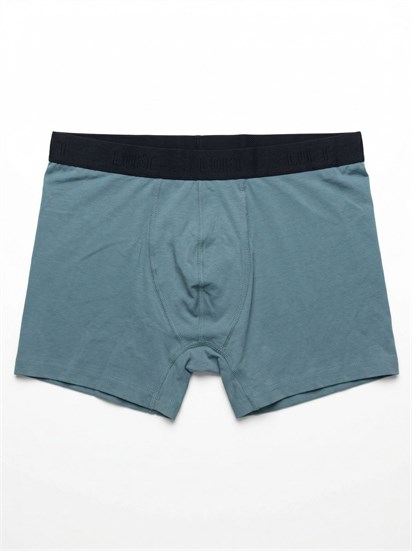 Loft Erkek Boxer LF2041460