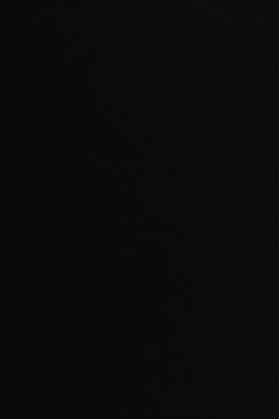 Mavi Tişört Siyah Erkek Tişört