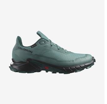 Salomon Alphacross 5 Gtx Erkek Outdoor Ayakkabı L47595000