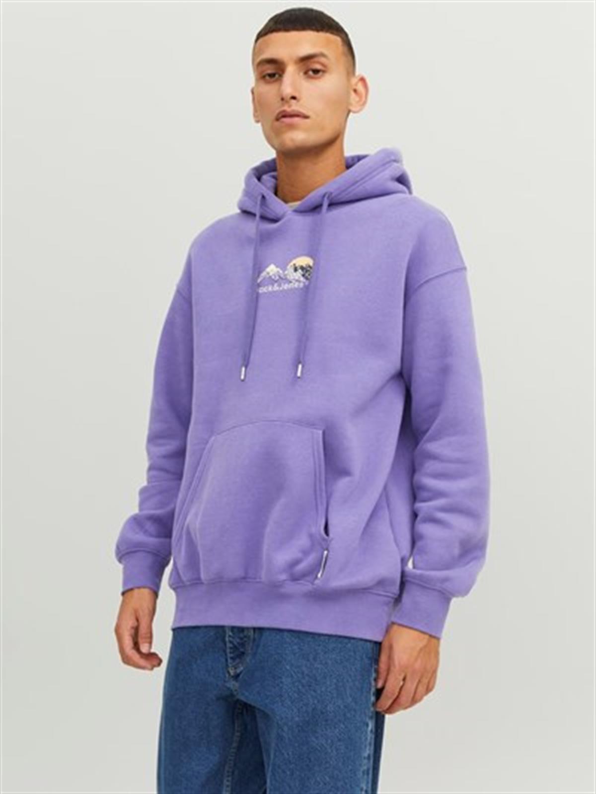 Jack&Jones Orıgınals Jorsılverlake  Hood Erkek Sweatshirt 12242357