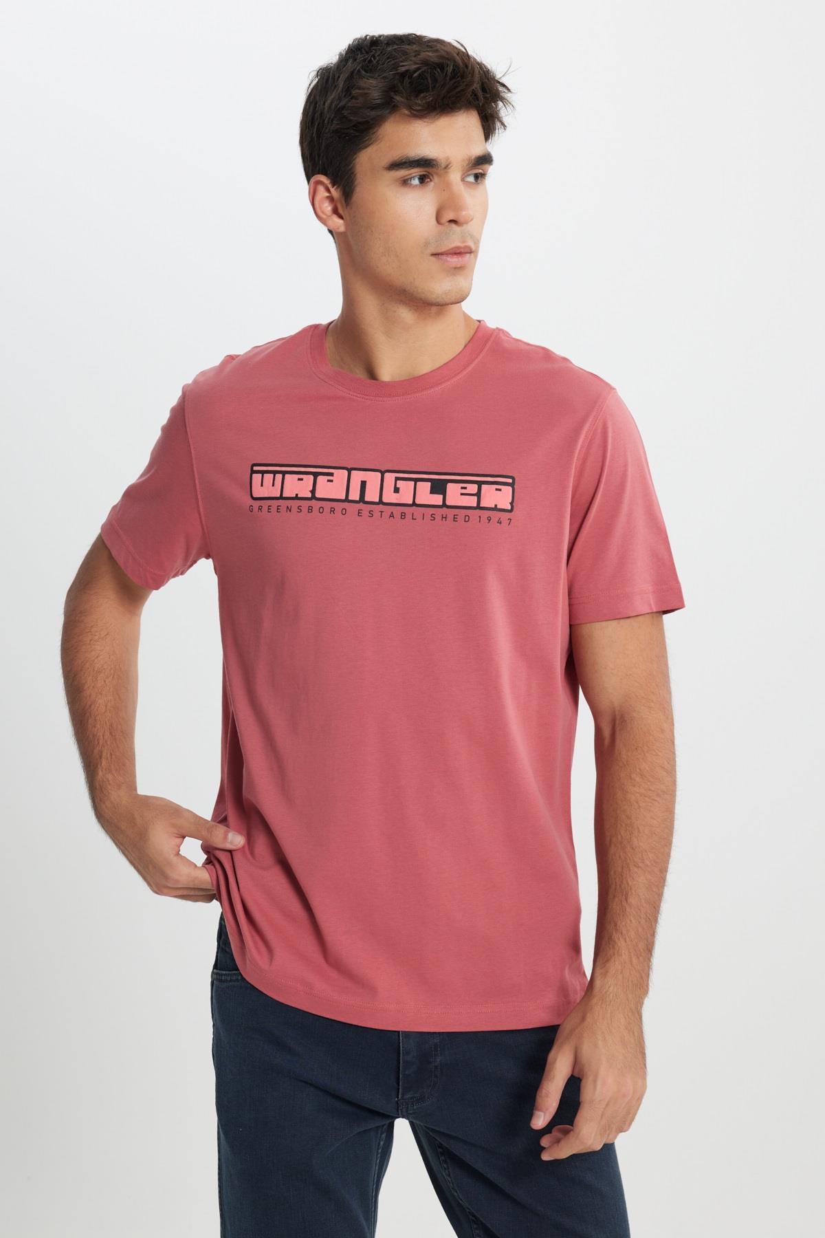 Lee Bisiklet Yaka Erkek T-shirt W241199620