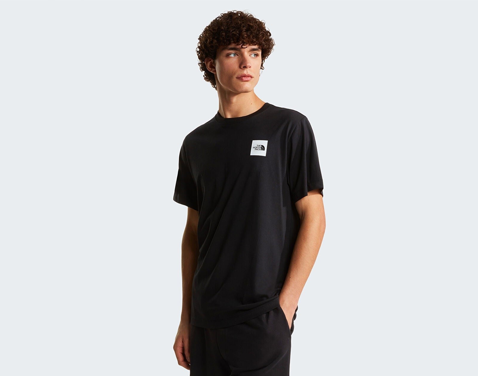 The North Face M Evolutıon Box Half Dome Regular  Erkek T-Shirt NF0A8G9CJK31