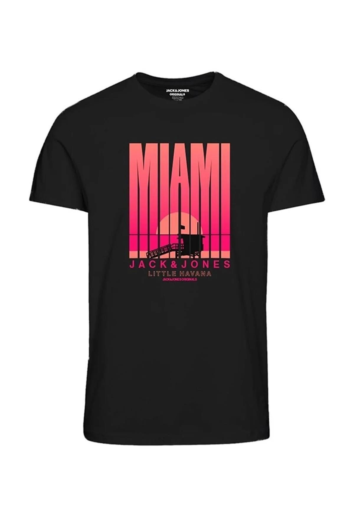 Jack&Jones Jorsanfran Tee Ss Crew Neck Fst Erkek T-Shirt 12238133