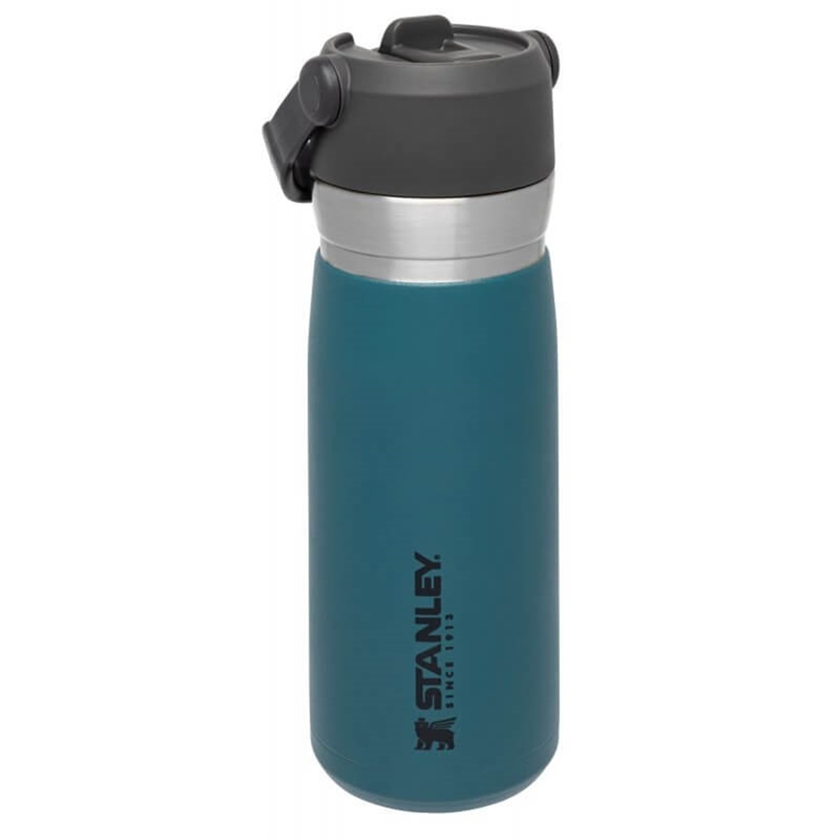 Stanley The Iceflow Pipetli Paslanmaz Çelik Soğuk Su Termosu Petrol 0.65 LT