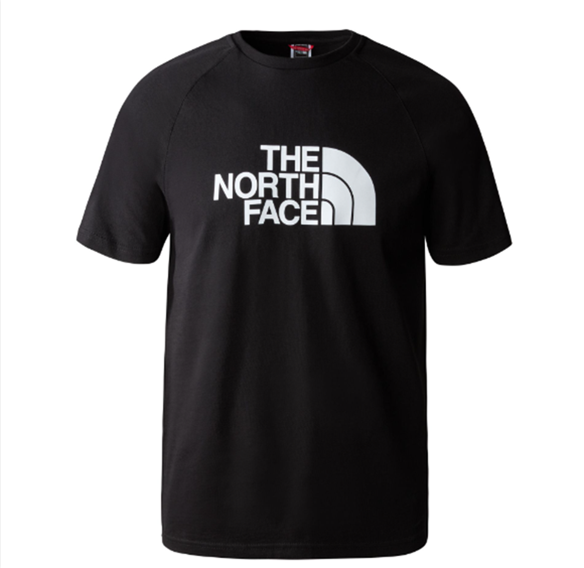 The Nort Face M S/S Raglan Easy Tee - Eu Erkek T-Shirt NF0A37FVJK31