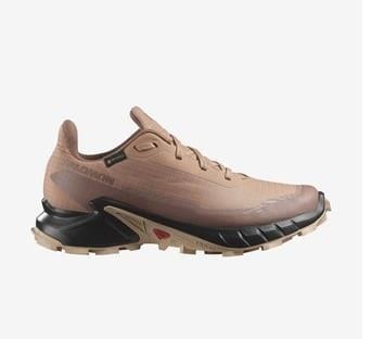 Salomon Alphacross 5 Gtx W Kadın Outdoor Ayakkabı L47595100
