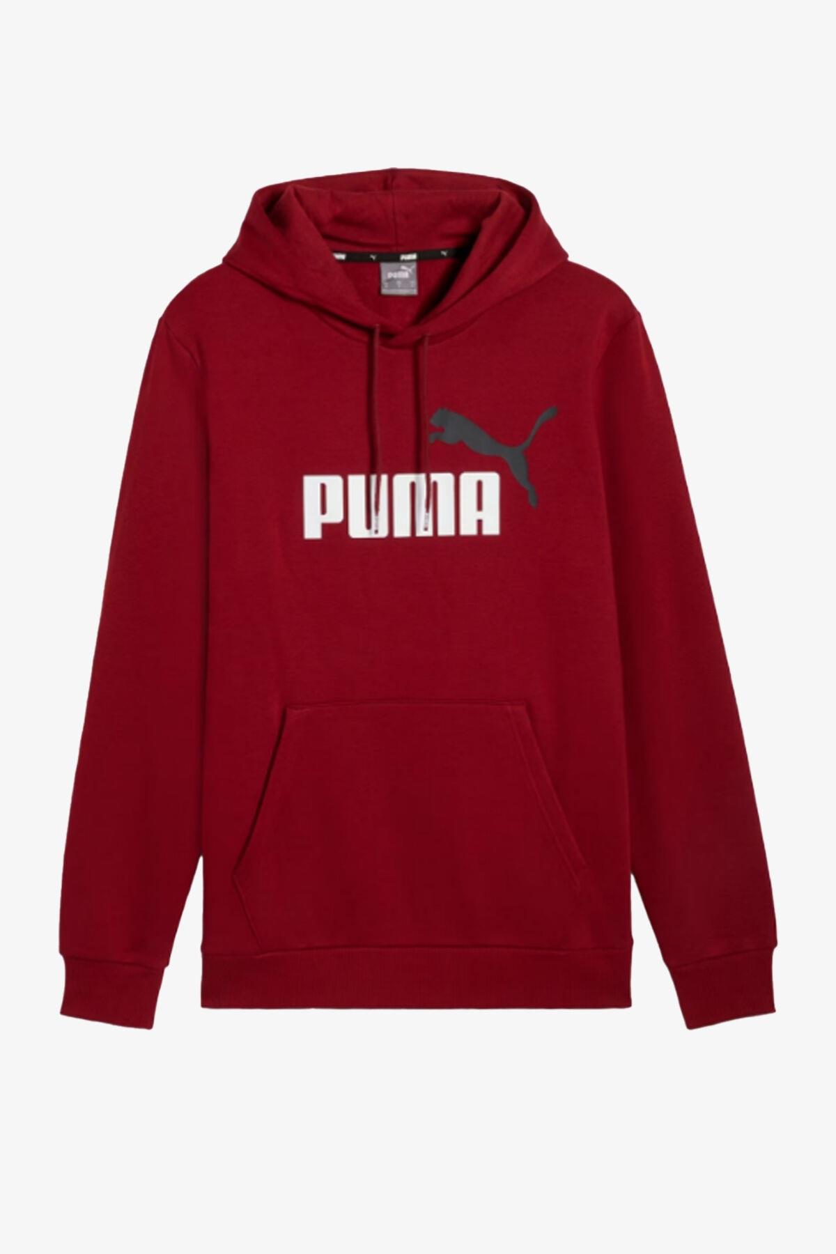 Puma Ess+ 2 Col Big Logo Hoodie Erkek Sweatshirt