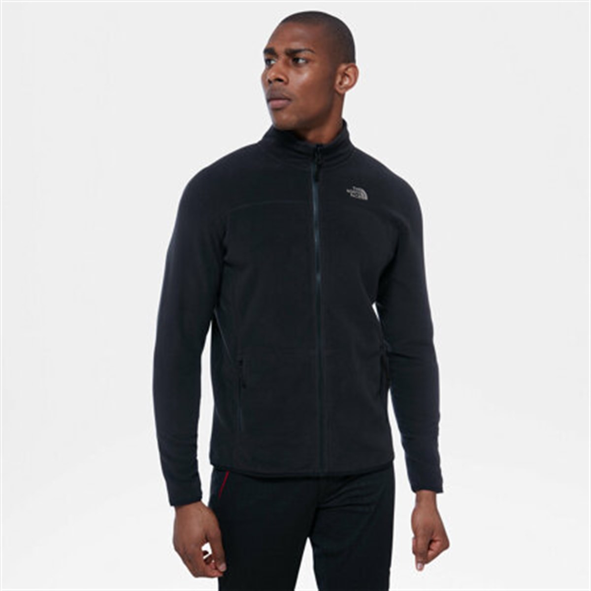 NF0A2UAQJK31Tnf M 100 Glacıer Full  Zıp Erkek Jacket