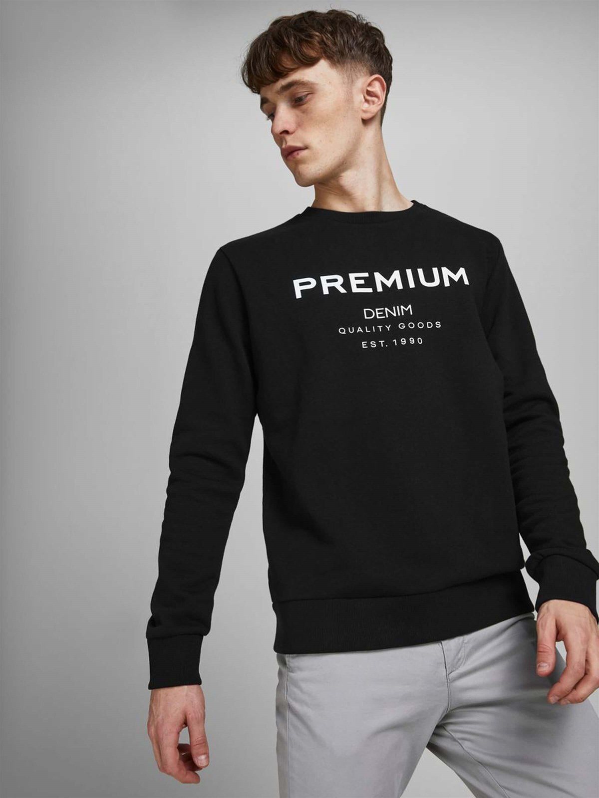 12175205Jack&Jones Jjtonal Logo Sweat Crew Neck-12175205