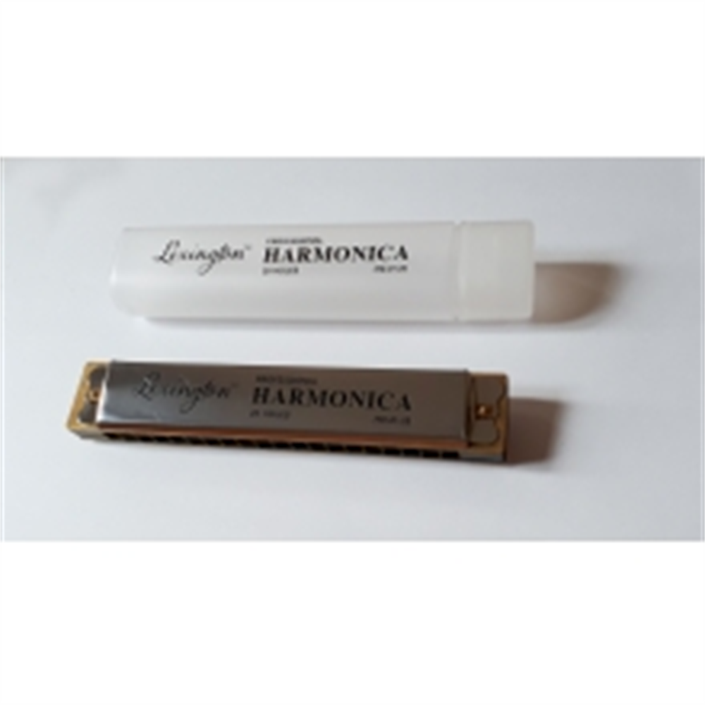 CREMONIA MIZIKA 20 DELİK PROFESSIONAL HARMONICA