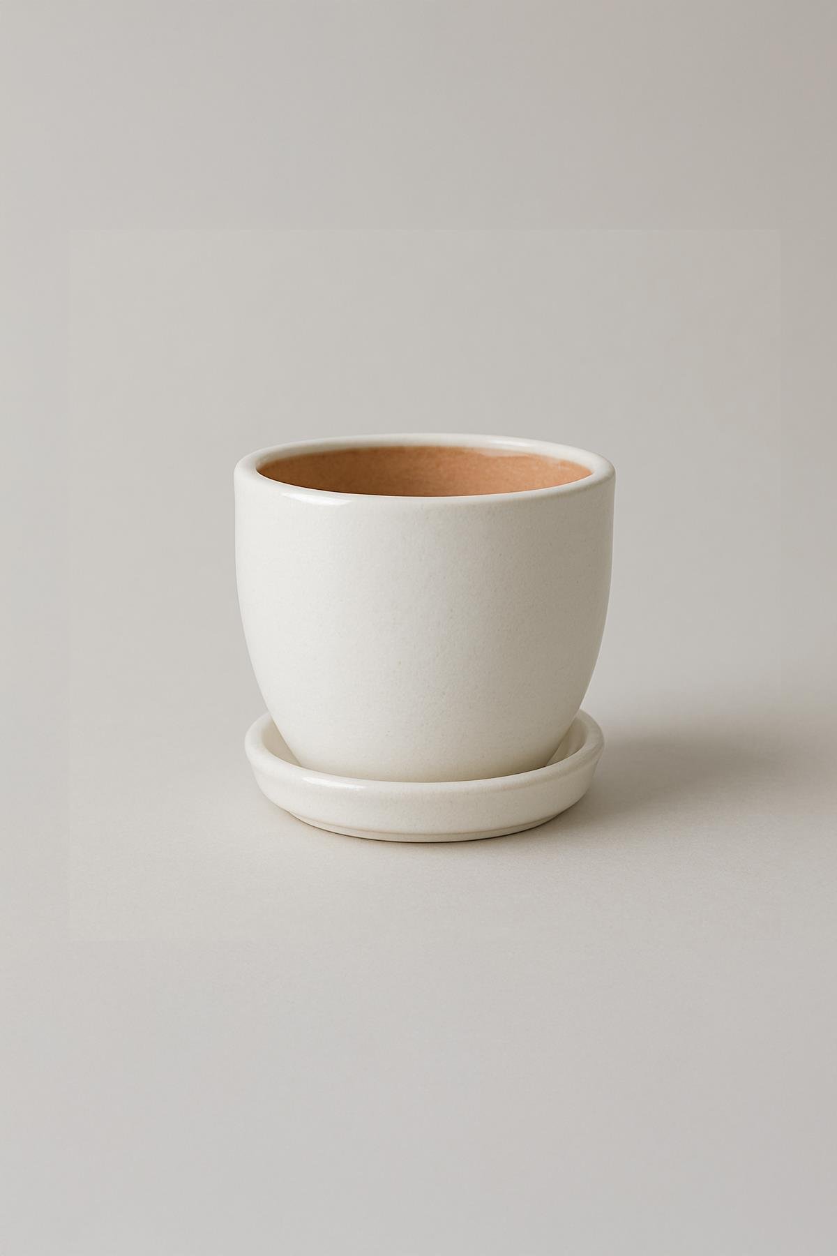 Evdek Tabaklı Beyaz Çömlek Saksı 19x19 Cm