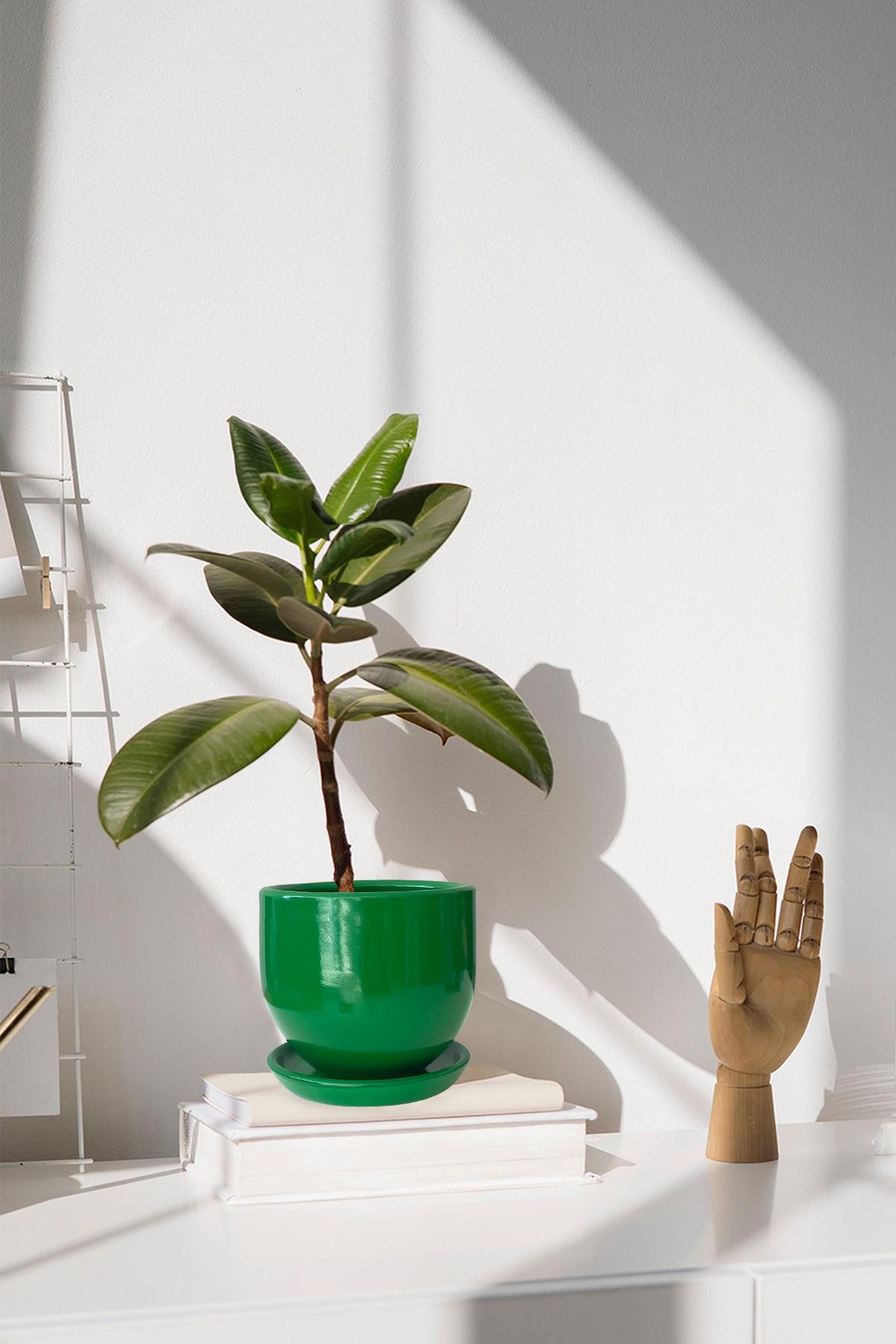 Evdek Tabaklı Çimen Çömlek Saksı 19x19 Cm