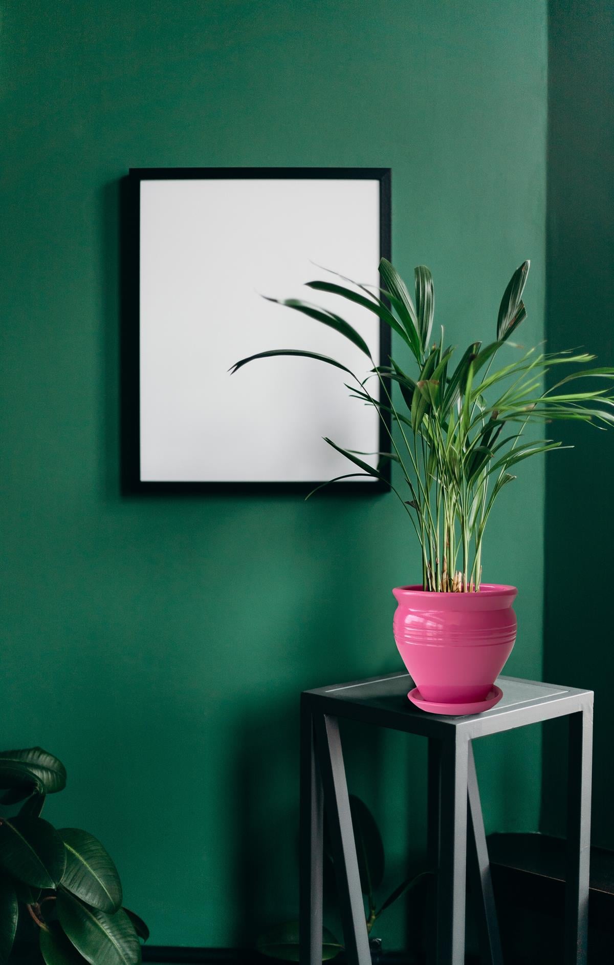 Evdek Tabaklı Klasik Pembe Çömlek Saksı 17x17 Cm