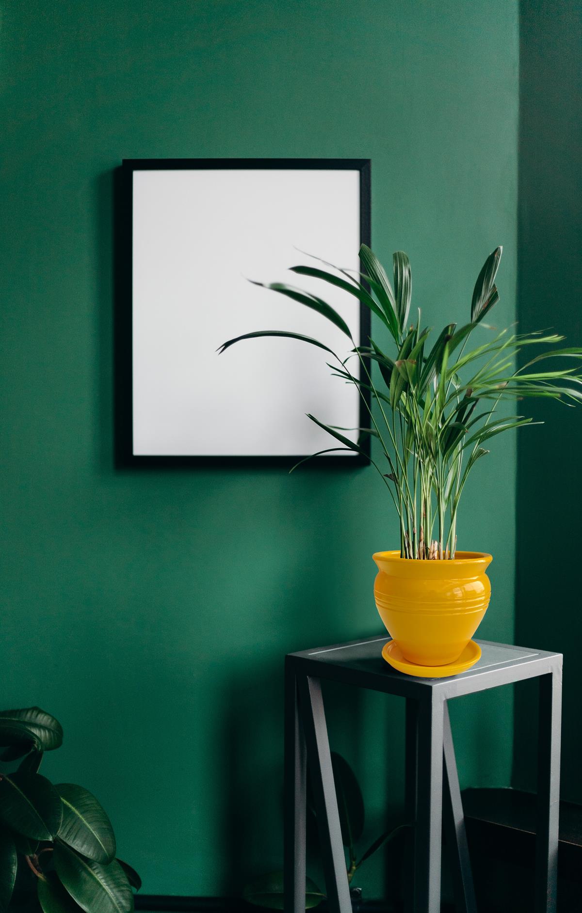 Evdek Tabaklı Klasik Sarı Çömlek Saksı 17x17 Cm