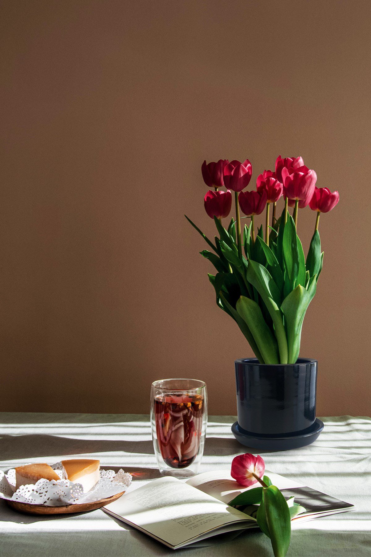 Evdek Tabaklı Siyah Silindirik Çömlek Saksı 15x15 Cm