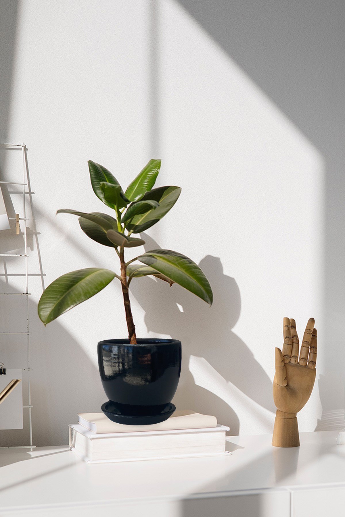 Evdek Tabaklı Siyah U Çömlek Saksı 16x16 Cm