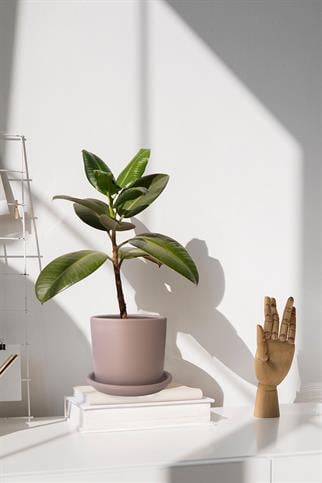 Evdek Tabaklı Vizon Silindir Çömlek Saksı 22x22 Cm