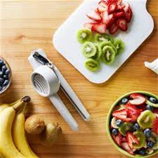 Chefn FreshForce El Tipi Dilimleyici