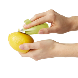 Chefn PalmZester Narenciye Rendesi