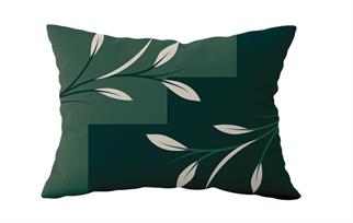 Evdek Çift Taraflı Dikdörtgen Kırlent Kılıf 2li Ds114