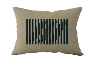 Evdek Çift Taraflı Dikdörtgen Kırlent Kılıf 2li Ds34