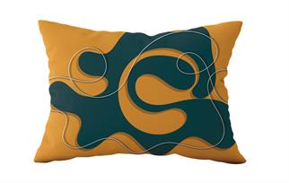 Evdek Çift Taraflı Dikdörtgen Kırlent Kılıf 2li Ds23