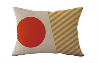 Evdek Çift Taraflı Dikdörtgen Kırlent Kılıf 2li Ds69