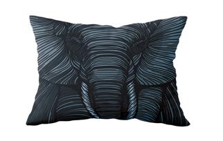 Evdek Çift Taraflı Dikdörtgen Kırlent Kılıf 2li Ds47