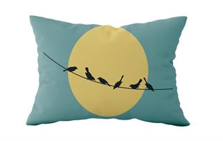 Evdek Çift Taraflı Dikdörtgen Kırlent Kılıf 2li Ds103