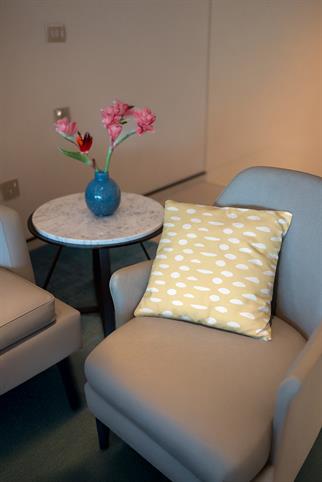 Evdek Dijital Baskılı Kırlent Kılıfı 5LD44