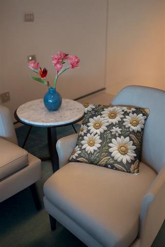 Evdek Embroidery Ds20 Dijital Baskılı Kırlent Kılıfı