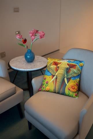 Evdek Embroidery Ds24 Dijital Baskılı Kırlent Kılıfı