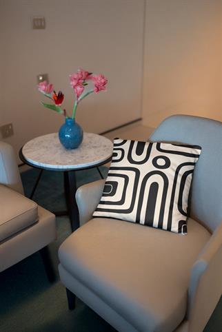 Evdek Geometric Kırlent Kılıf Ds9