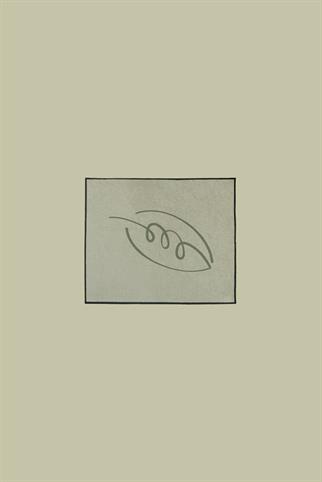 Evdek Leaf 2li Banyo Paspas Takım