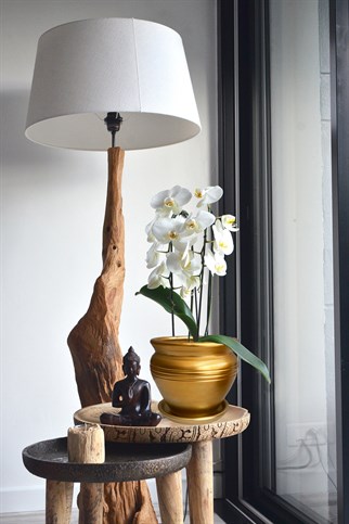 Evdek Tabaklı Klasik Altın Çömlek Saksı 19x19 Cm