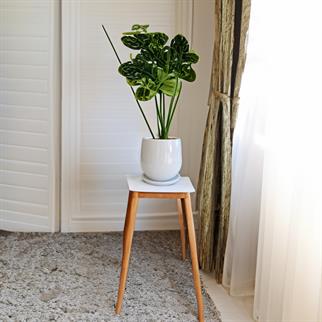 Evdek Tabaklı Armut Beyaz Çömlek Saksı 24x20 Cm