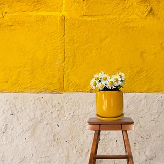 Evdek Tabaklı Armut Sarı Çömlek Saksı 24x20 Cm