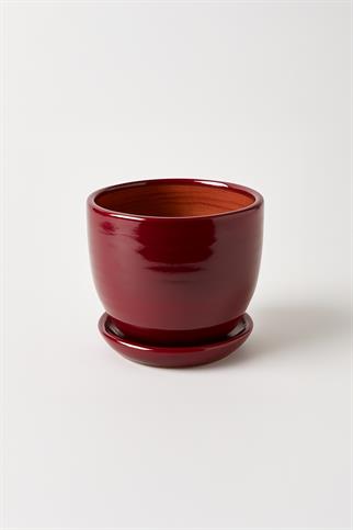 Evdek Tabaklı Bordo Çömlek Saksı 19x19 Cm