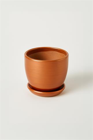 Evdek Tabaklı Bronz Çömlek Saksı 19x19 Cm