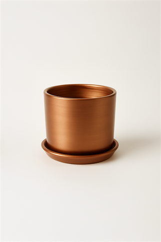 Evdek Tabaklı Bronz Silindirik Çömlek Saksı 15x15 Cm