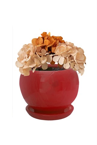 Evdek Tabaklı Kırmızı Tombul Çömlek Saksı 18x17 Cm