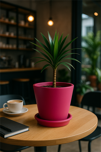 Evdek Tabaklı Koyu Pembe Konik Çömlek Saksı 14x15 Cm