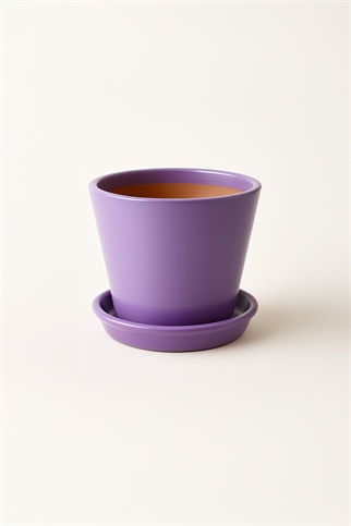 Evdek Tabaklı Lila Konik Çömlek Saksı 14x15 Cm