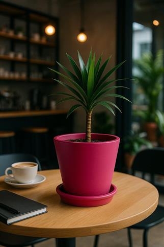 Evdek Tabaklı Pembe Konik Çömlek Saksı 14x15 Cm