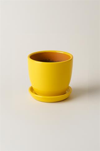 Evdek Tabaklı Sarı Çömlek Saksı 19x19 Cm