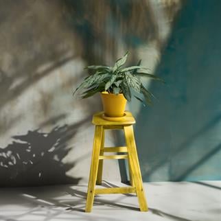 Evdek Tabaklı Sarı Konik Çömlek Saksı 23x23 Cm