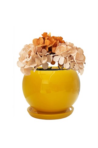 Evdek Tabaklı Sarı Tombul Çömlek Saksı 18x17 Cm