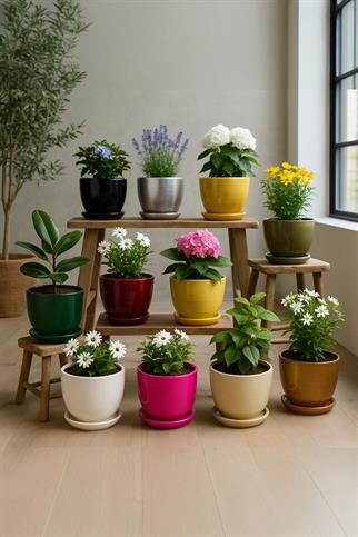 Evdek Tabaklı Yeşil Çömlek Saksı 19x19 Cm