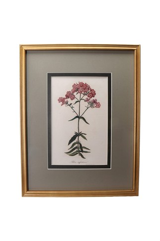 Porland Antik Flower Model:4 Tablo 40x2x50 cm