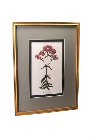 Porland Antik Flower Model:4 Tablo 40x2x50 cm